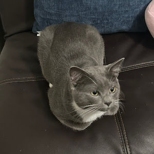 Meet your Posher, Kaylee